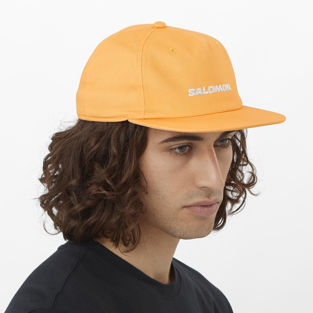 LC2529200-CAP FLAT U