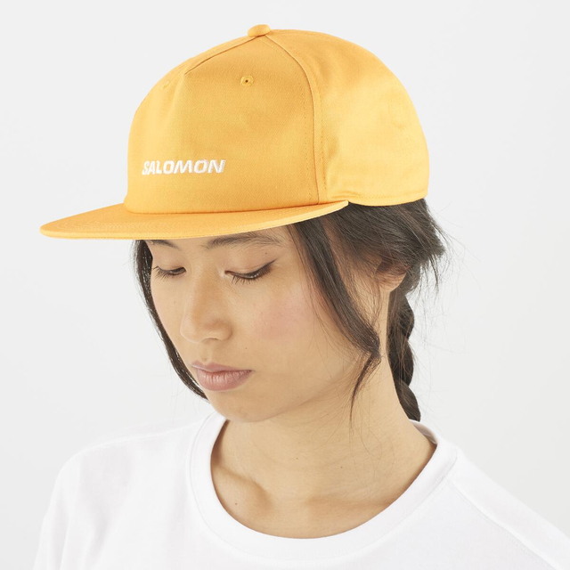 LC2529200-CAP FLAT U