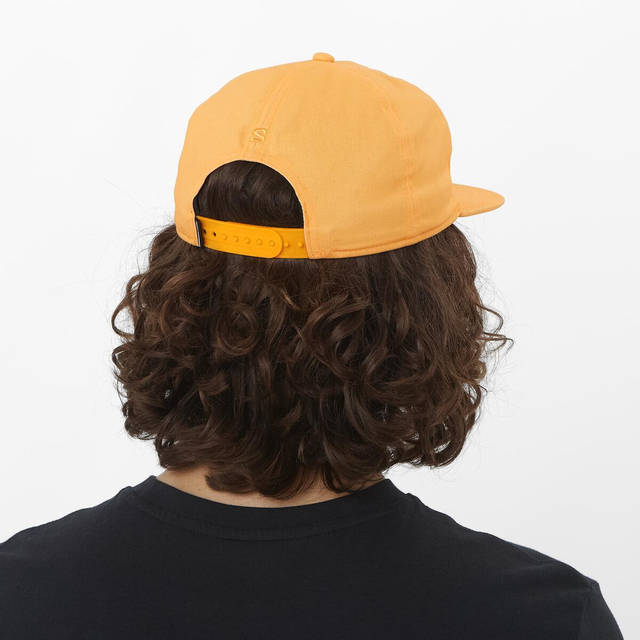 LC2529200-CAP FLAT U