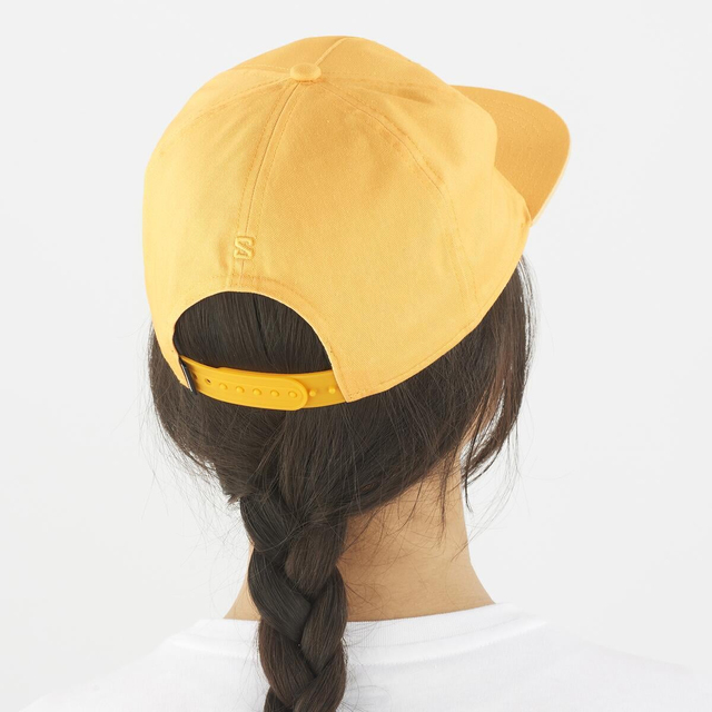 LC2529200-CAP FLAT U