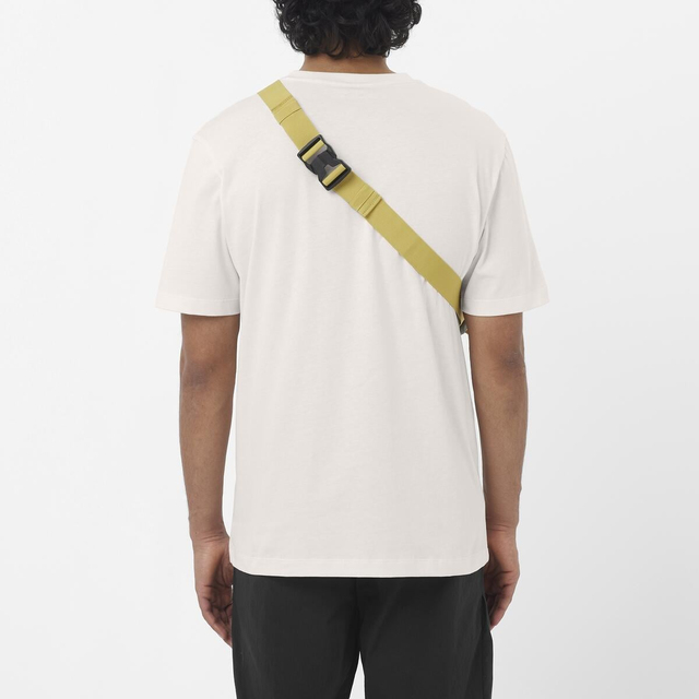 LC2675800-CHEST LOGO REGULAR