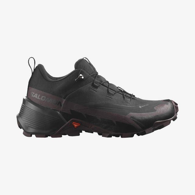 L41730500-CROSS HIKE GTX 2 W