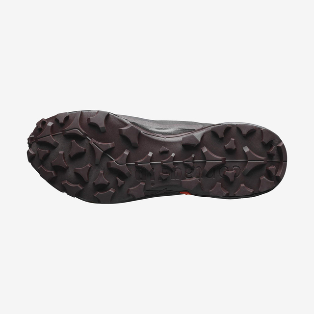 L41730500-CROSS HIKE GTX 2 W