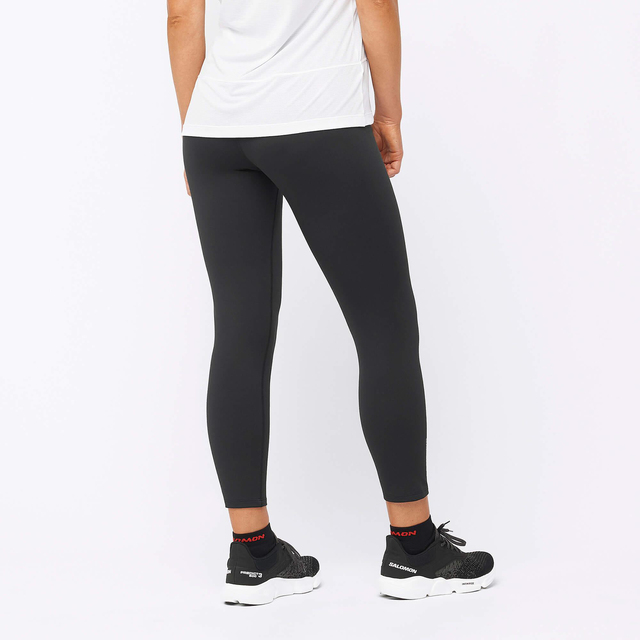 LC1893100-CROSS MULTI 23'' TIGHT W
