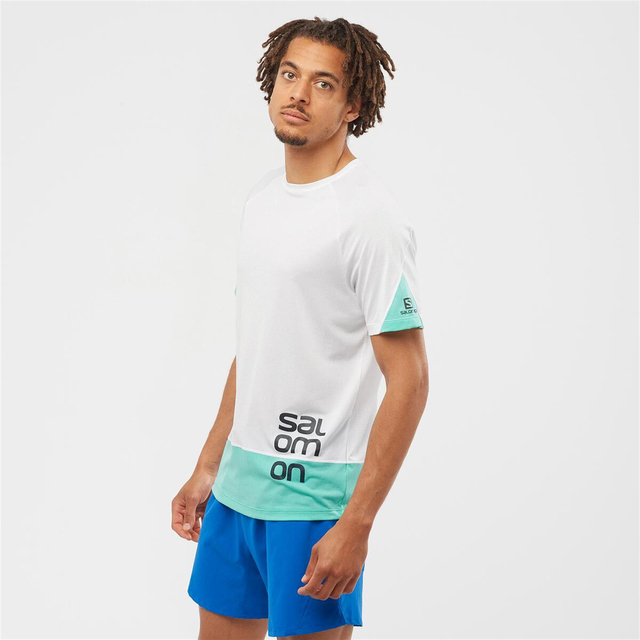 LC1788300-CROSS RUN GRAPHIC