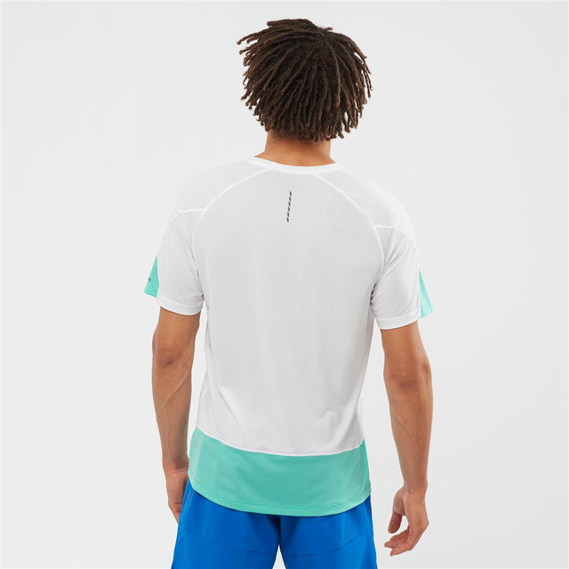 LC1788300-CROSS RUN GRAPHIC