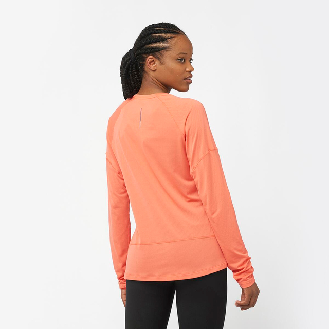LC2131100-CROSS RUN LS TEE W