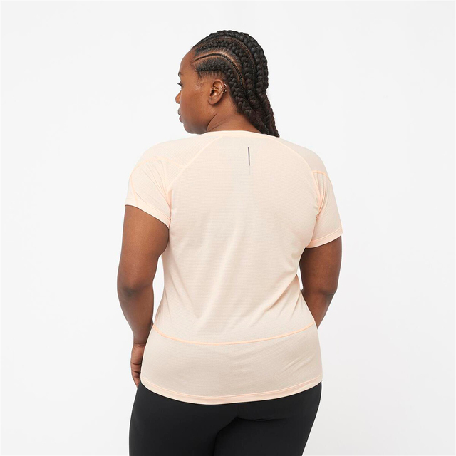 LC2046700-CROSS RUN SS TEE W