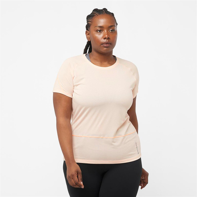 LC2046700-CROSS RUN SS TEE W