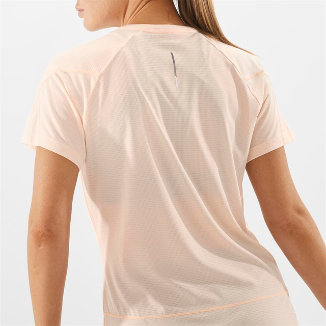 LC2046700-CROSS RUN SS TEE W
