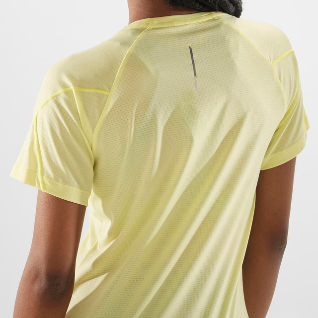 LC2131900-CROSS RUN SS TEE W