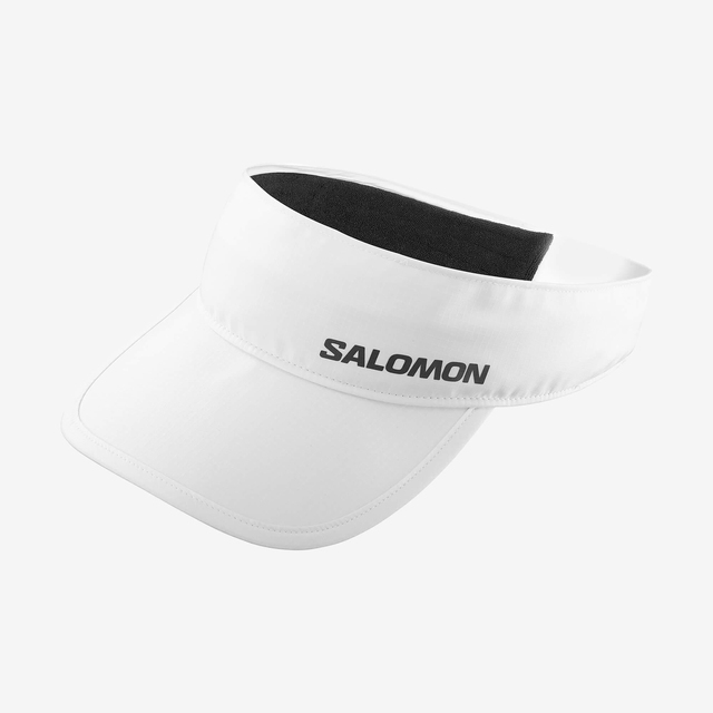 LC2021600-CROSS VISOR