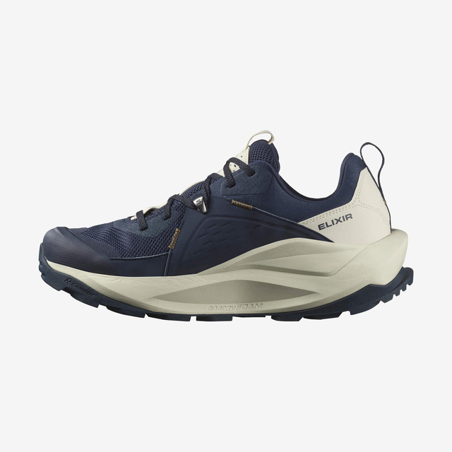L47565700-ELIXIR GTX