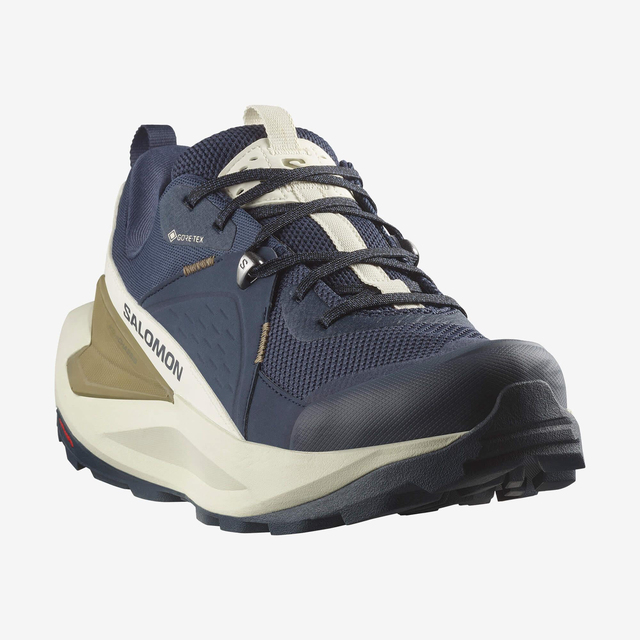L47565700-ELIXIR GTX