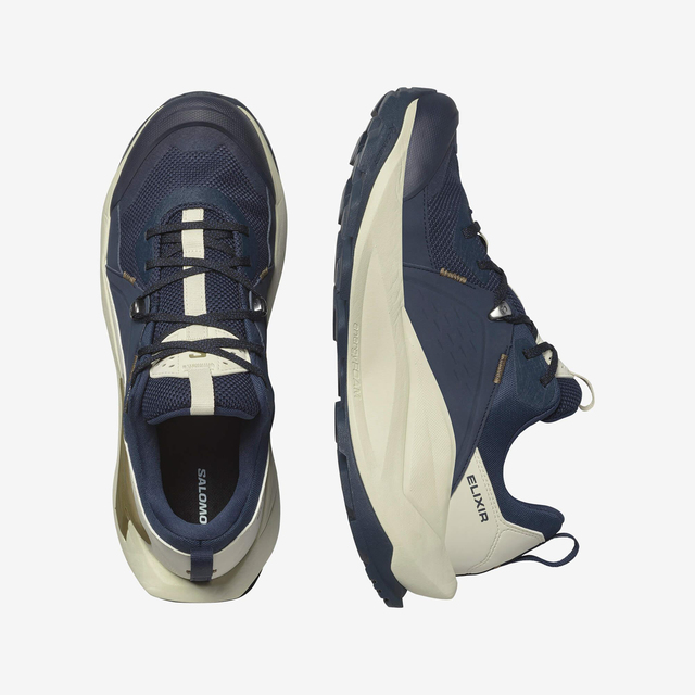 L47565700-ELIXIR GTX
