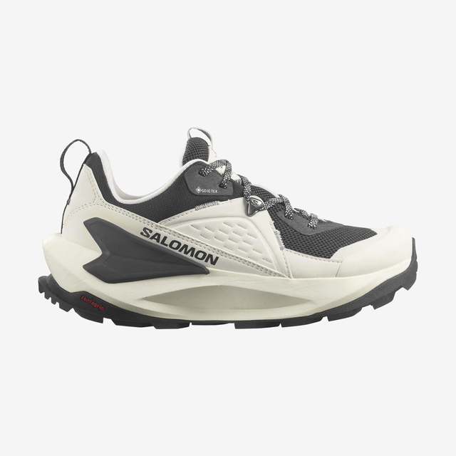 L47296700-ELIXIR GTX W