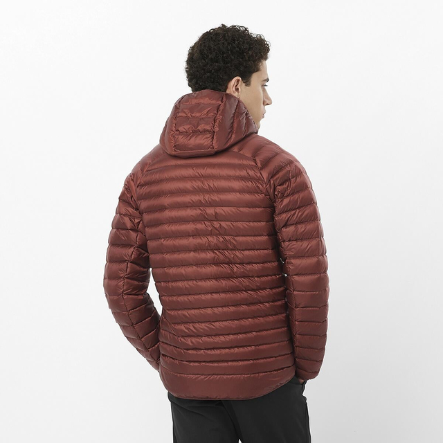 LC2292300-ELIXIR MICRO DOWN HD M