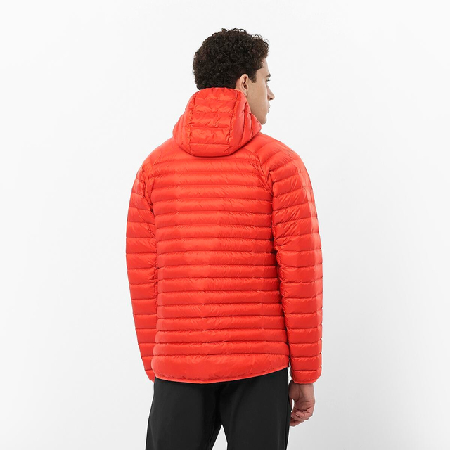 LC2339400-ELIXIR MICRO DOWN HD M