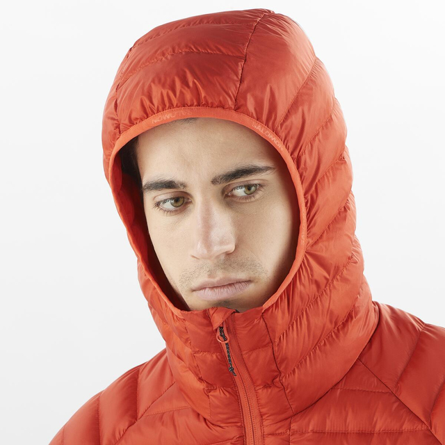 LC2339400-ELIXIR MICRO DOWN HD M