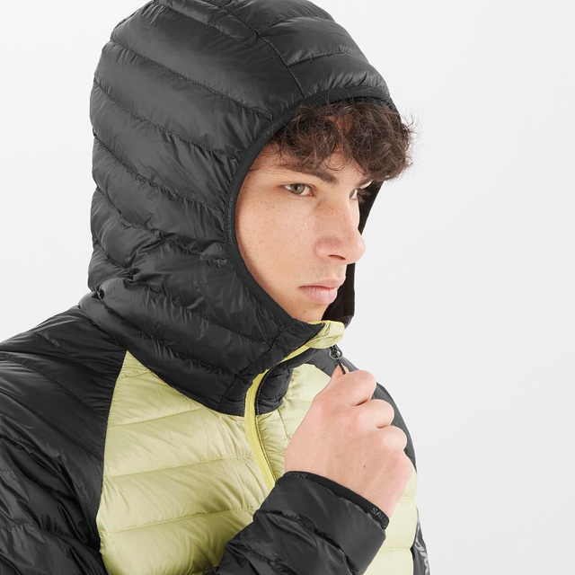 LC2104100-ELIXIR MICRO DOWN JKT M