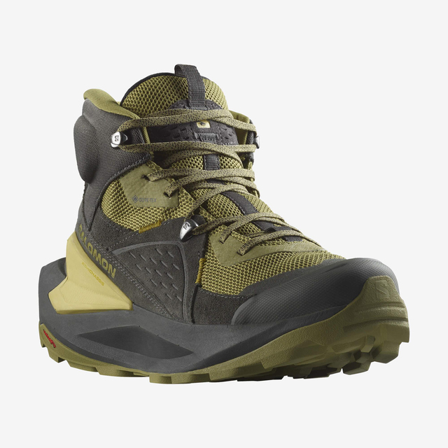 L47290500-ELIXIR MID GTX