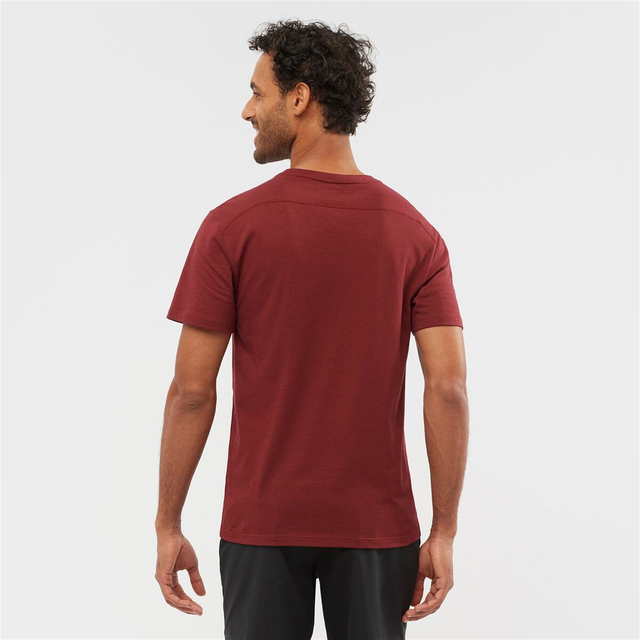 LC1717500-ESSENTIAL SOLID
