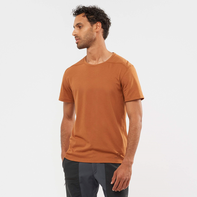 LC1717600-ESSENTIAL SOLID