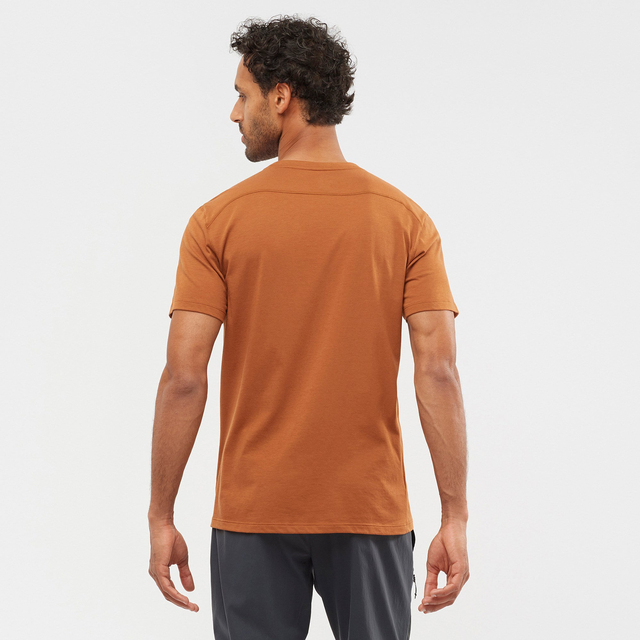 LC1717600-ESSENTIAL SOLID