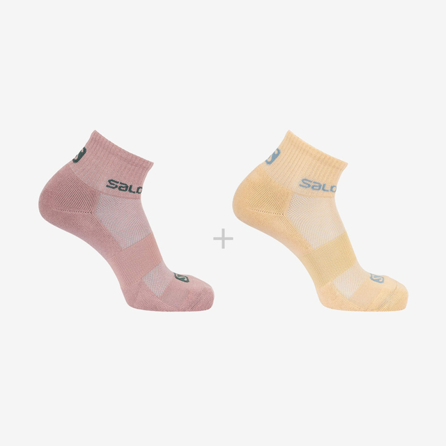 LC1554200-EVASION 2 PACK