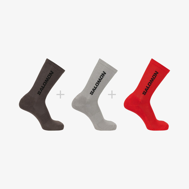 LC2169400-EVERYDAY CREW 3 Pack