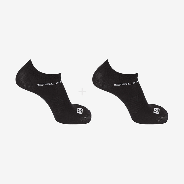 LC1335500-FESTIVAL 2-PACK