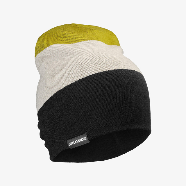 LC2939400-FLATSPIN REVERSIBLE BEANIE