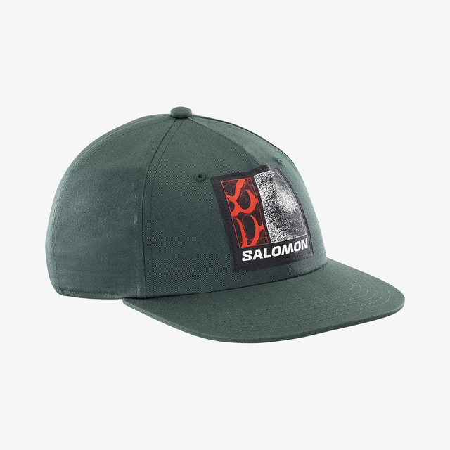 LC2690400-FREESTYLE FLAT CAP