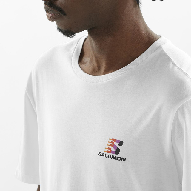 LC2358200-FURIOUS 