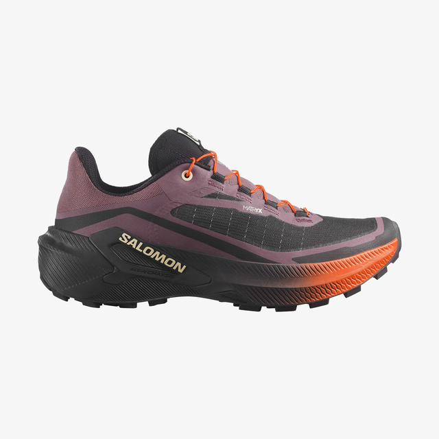 L49309200-GENESIS 2