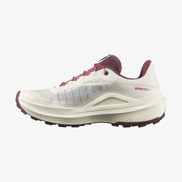 L49309600-GENESIS 2