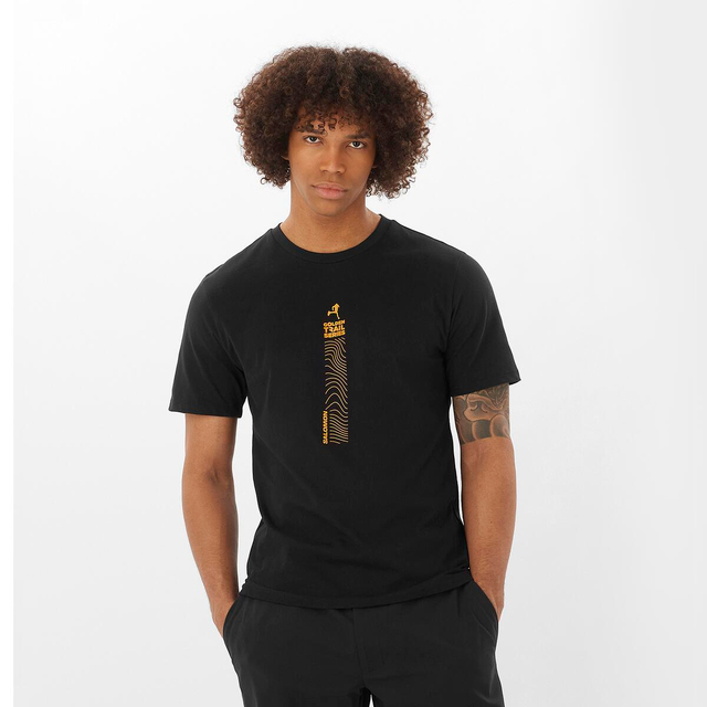 LC2259800-GOLDEN TRAIL