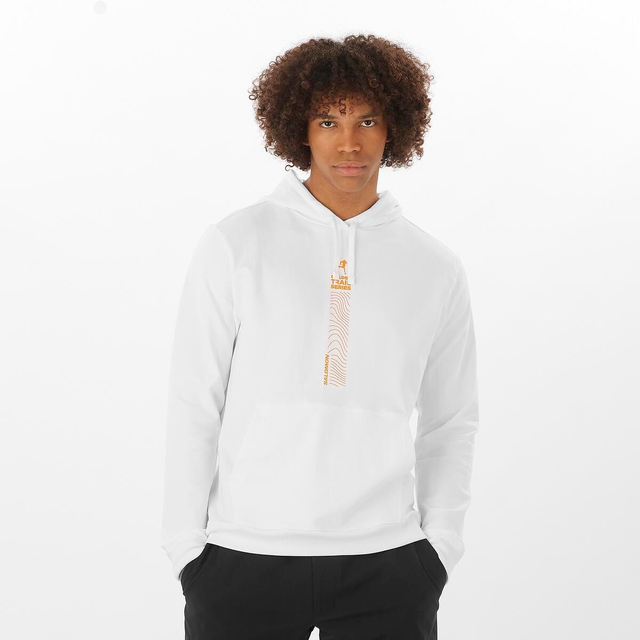 LC2260100-GOLDEN TRAIL