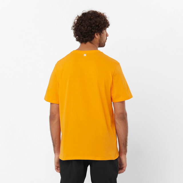 LC2247000-GRAPHIC SS TEE M