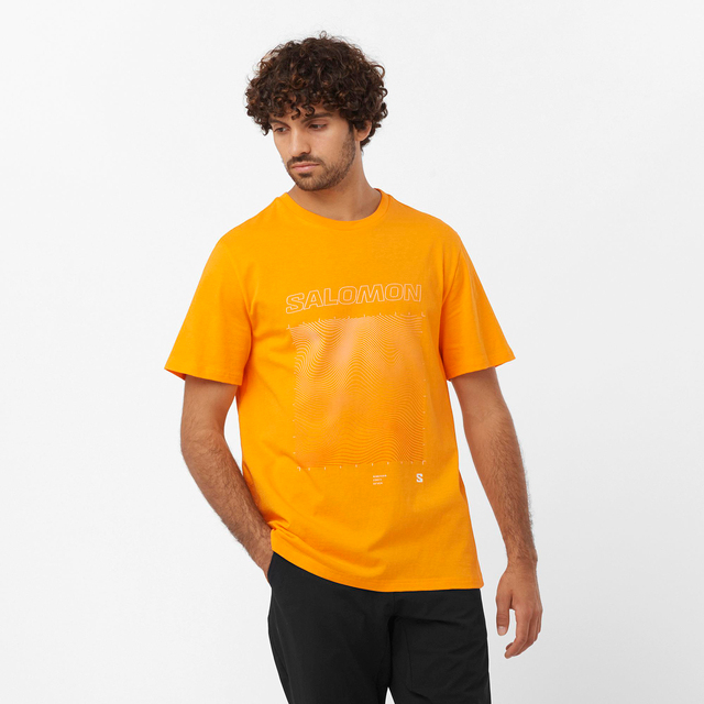 LC2247000-GRAPHIC SS TEE M