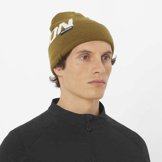 LC2630000-HERMITAGE BEANIE