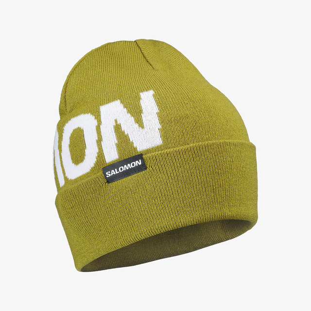 LC2939000-HERMITAGE BEANIE