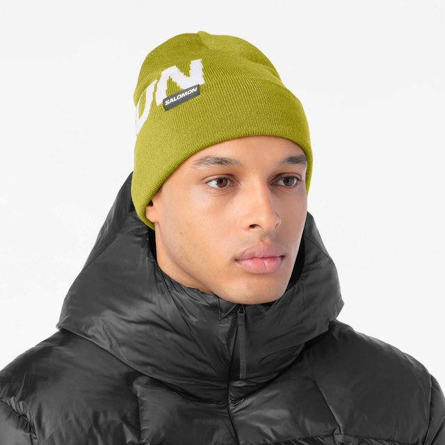 LC2939000-HERMITAGE BEANIE