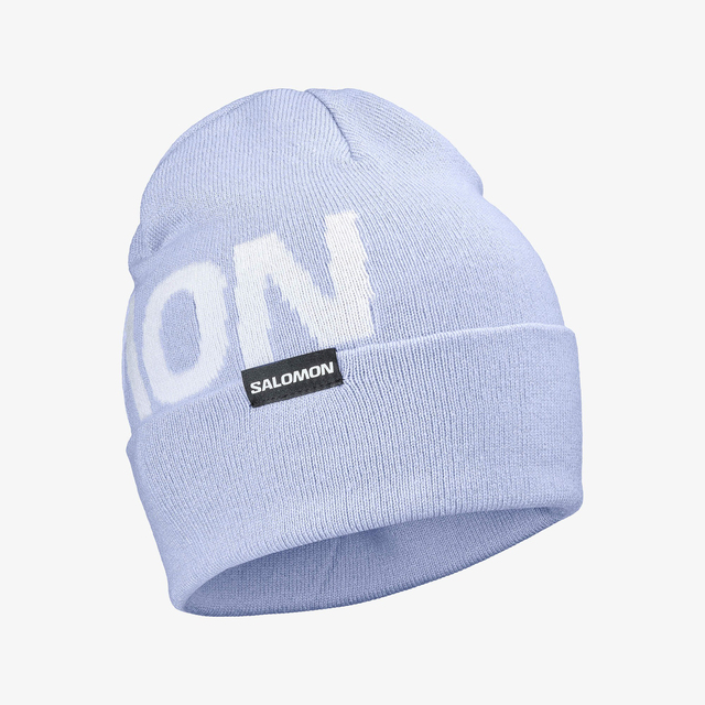 LC2939100-HERMITAGE BEANIE