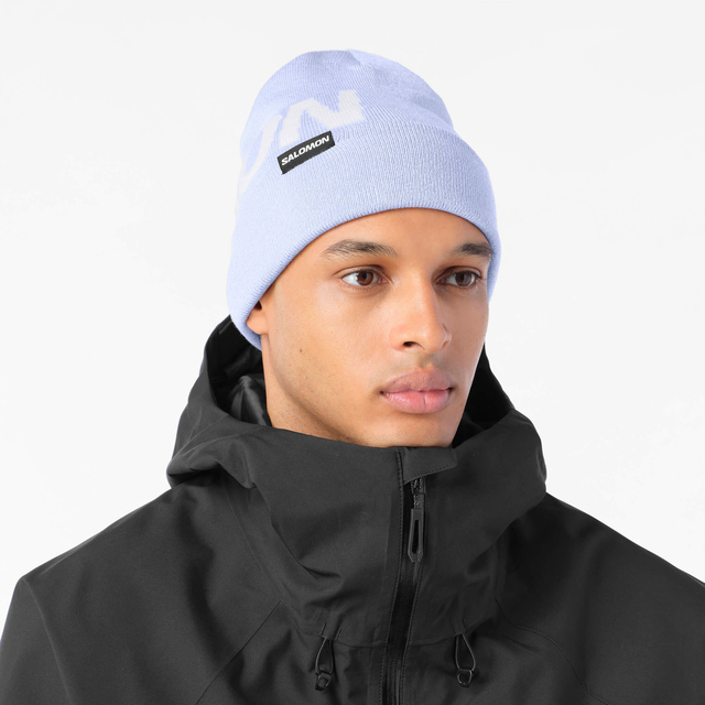 LC2939100-HERMITAGE BEANIE