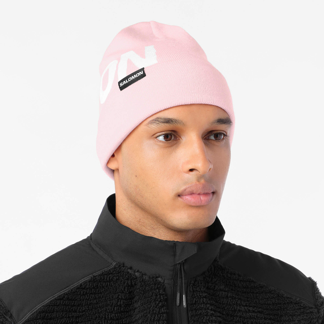 LC2939200-HERMITAGE BEANIE