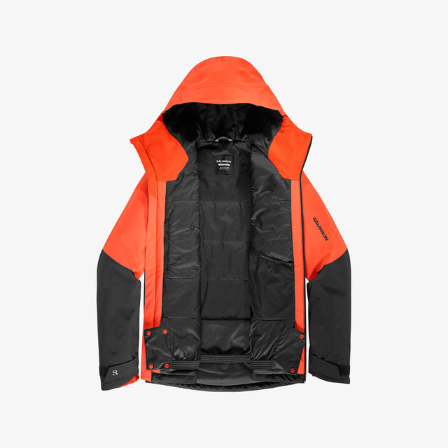 LC2353500-HIGHLAND