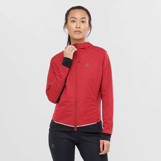 LC1601300-LIGHT SHELL