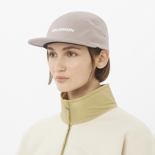 LC2681900-LOGO 5 PANEL