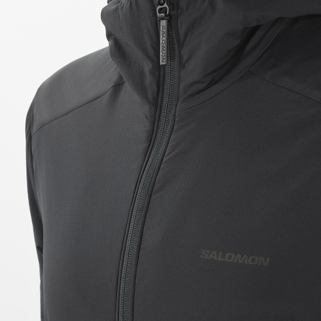LC2298400-MOUNTAIN FLEX JCKT HOOD W